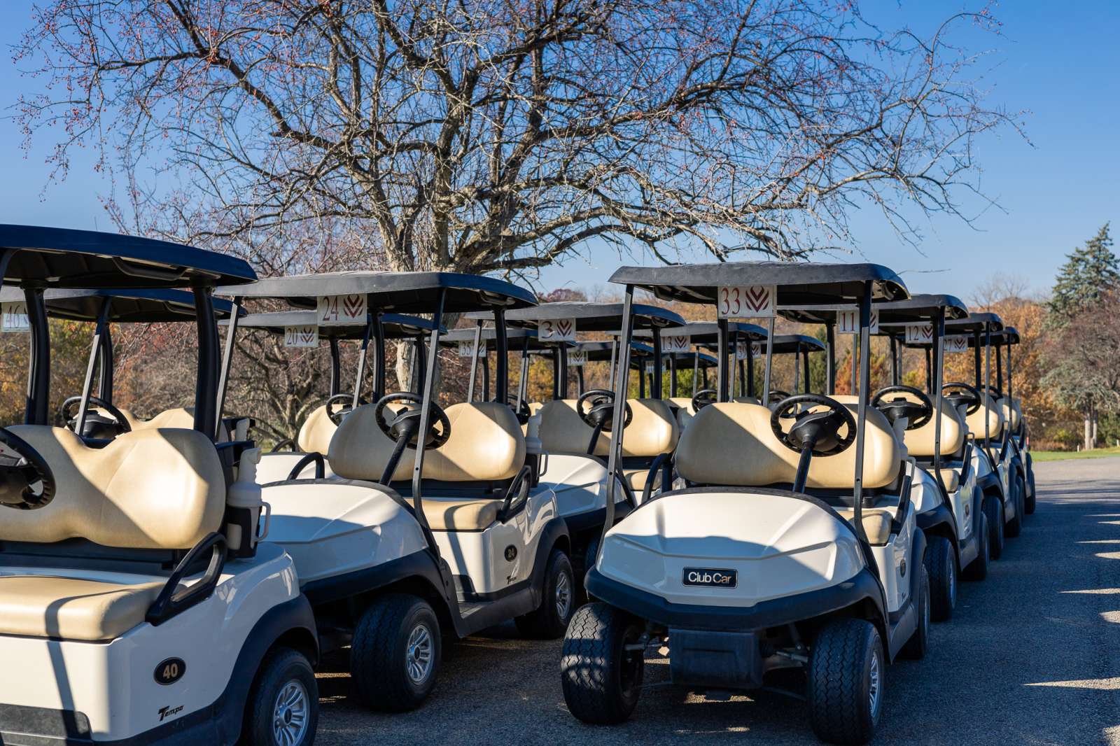 Golf Carts